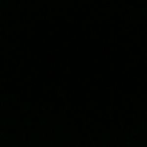 Meet your Posher, Max